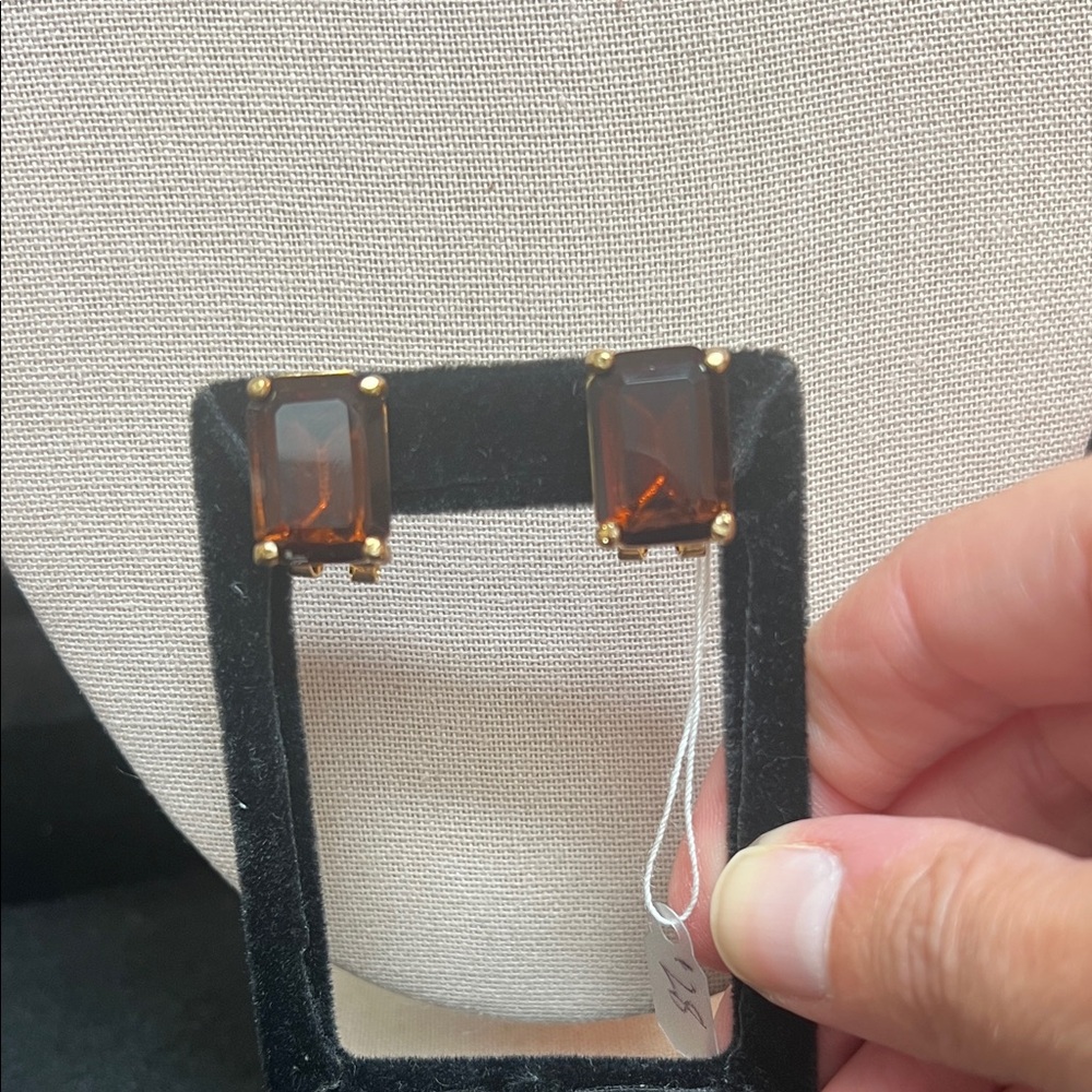 Fornash Brown Rectangular Stone Earrings